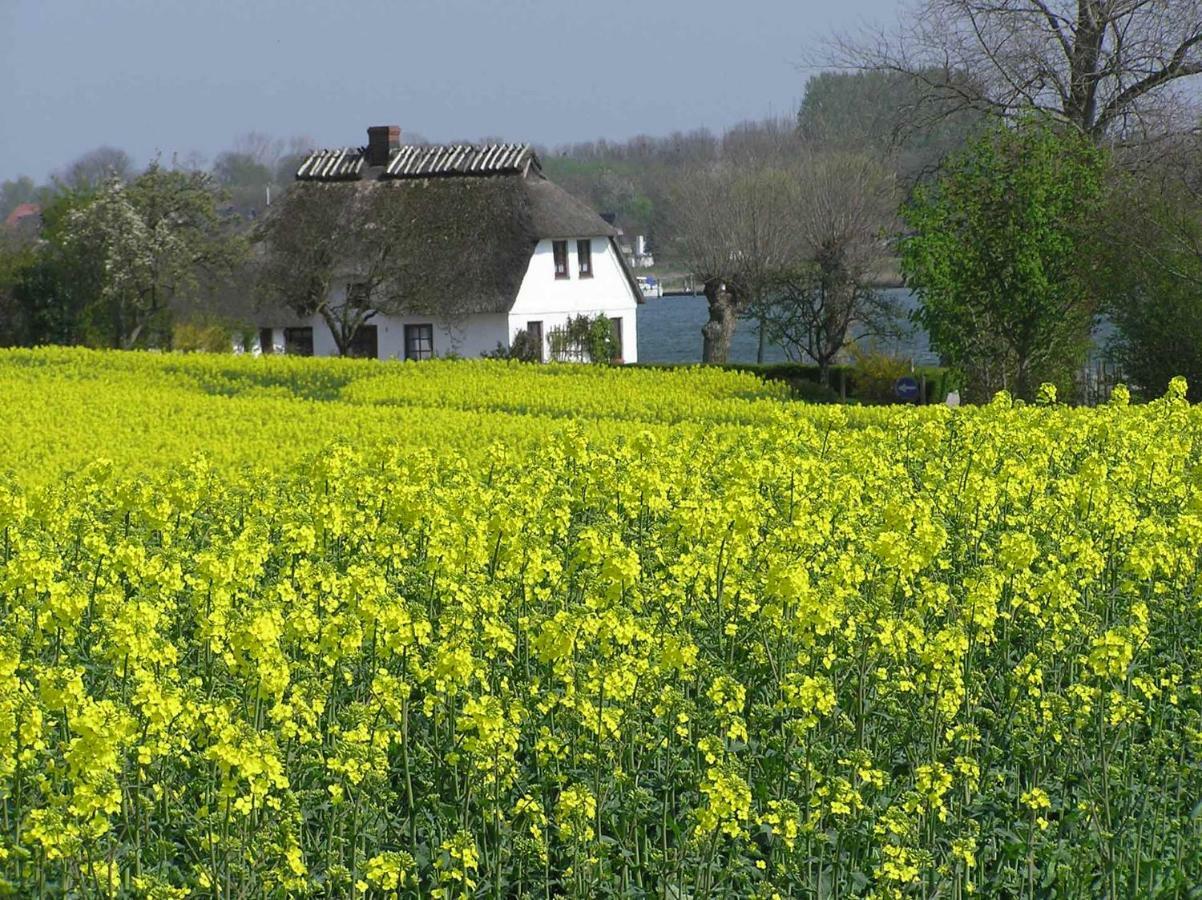 Det Gule Hus Villa Kappeln Luaran gambar